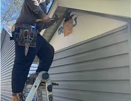 Best Siding Painting and Refinishing  in Lindsay, TX